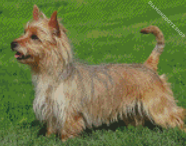 Australian Terrier Diamond Painting