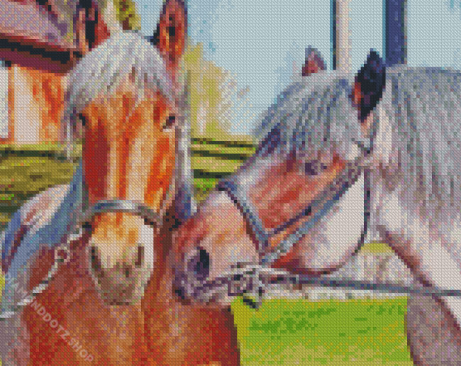 Belgian Horses Couple Diamond Painting