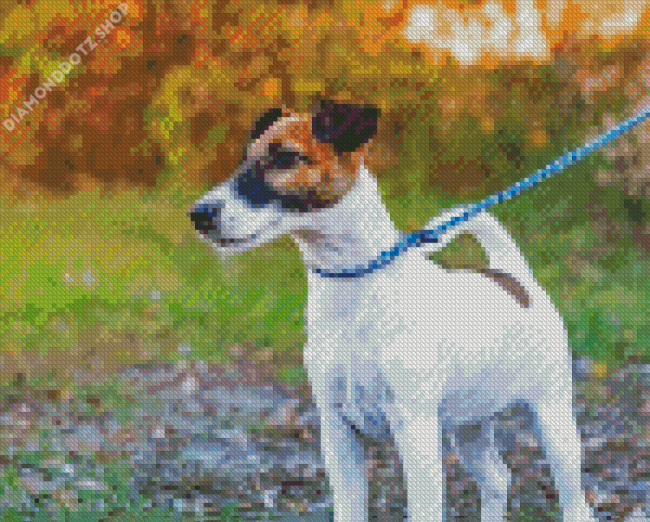 Fox Terrier Dog Diamond Painting