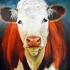 Hereford Cattle Diamond Painting