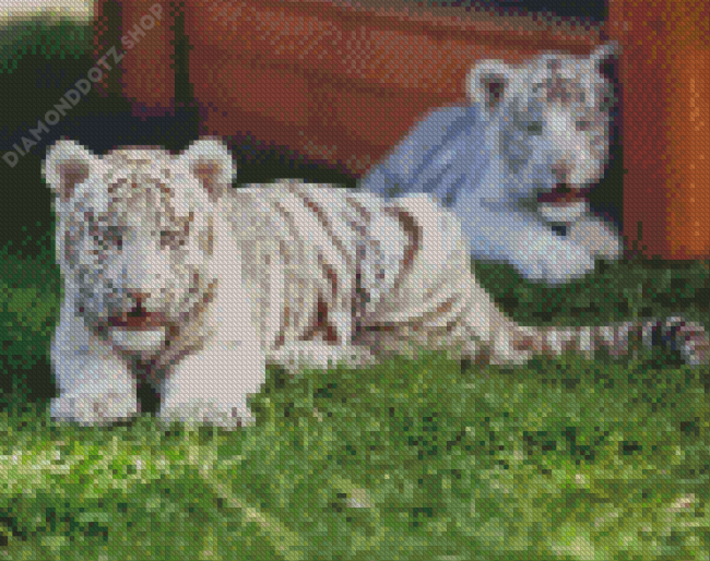 White Tiger Cubs Diamond Painting