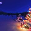 Colorful Christmas Tree At Night Diamond Painting