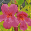 Pink Monkey Flowers Diamond Painting