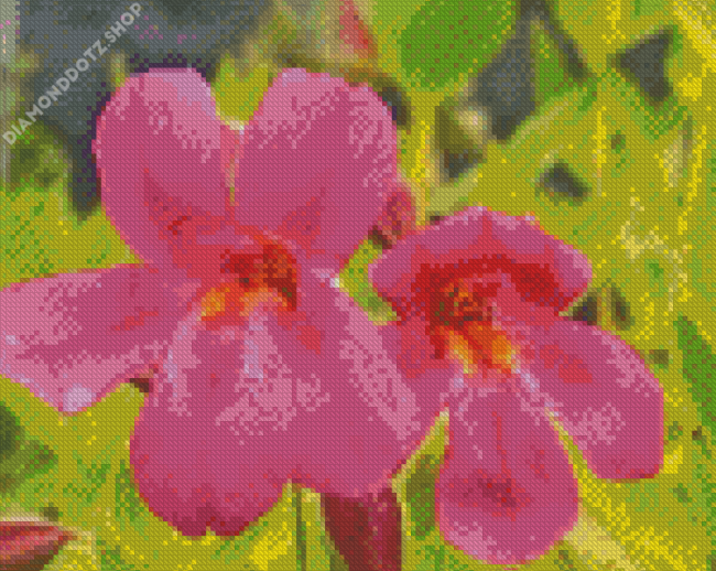 Pink Monkey Flowers Diamond Painting