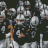 Nfl Raiders Players Diamond Painting