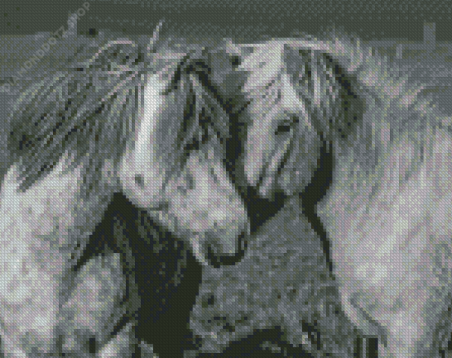 Horse Couple Diamond Painting