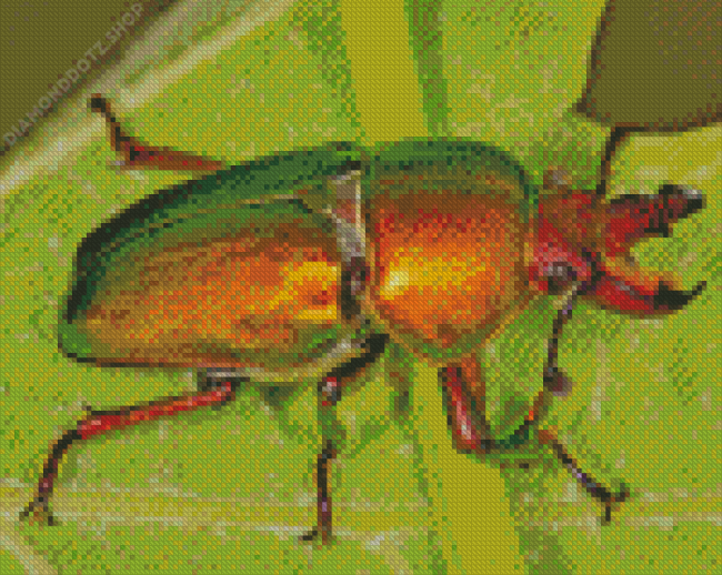 Golden Beetle Bug Diamond Painting