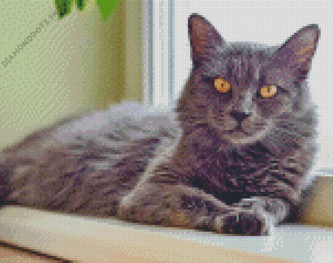 Grey Kitty Pet Diamond Painting