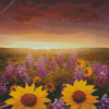 Lavender And Sunflower Diamond Painting