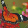 Painted Lady Butterfly Diamond Painting