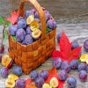 Plums Fruit Basket Diamond Painting