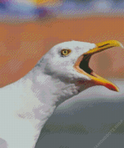 Seagull Bird Head Diamond Painting