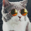 Cat With sunglasses Diamond Painting