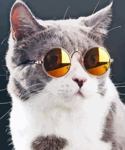 Cat With sunglasses Diamond Painting