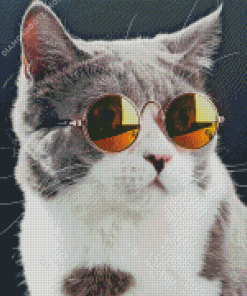 Cat With sunglasses Diamond Painting
