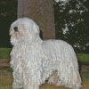 Komondor Dog Diamond Painting