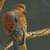 European Turtle Dove Diamond Painting