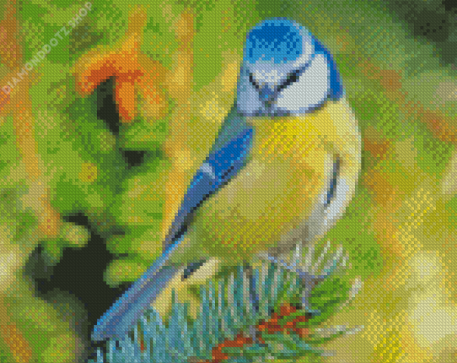 Blue Tit Bird Diamond Painting