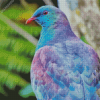Kereru Bird Diamond Painting