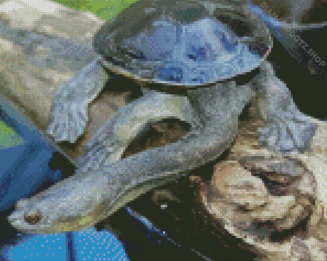 Long Neck Turtle Diamond Painting