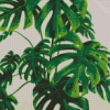 Monstera Green Plant Diamond Painting