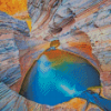 Hamersley Gorge Diamond Painting