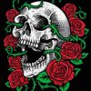 Skulls And Roses Diamond Painting
