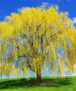 Weeping Willow Plant Diamond Painting