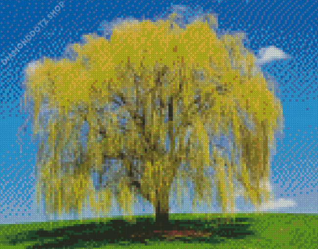 Weeping Willow Plant Diamond Painting