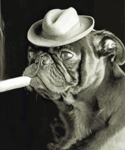 Pug With A Cigar Diamond Painting