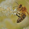 Honey Bee Insect Diamond Painting