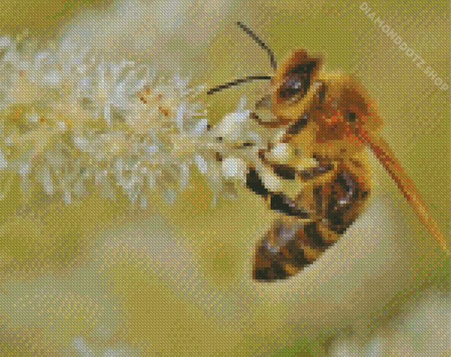 Honey Bee Insect Diamond Painting