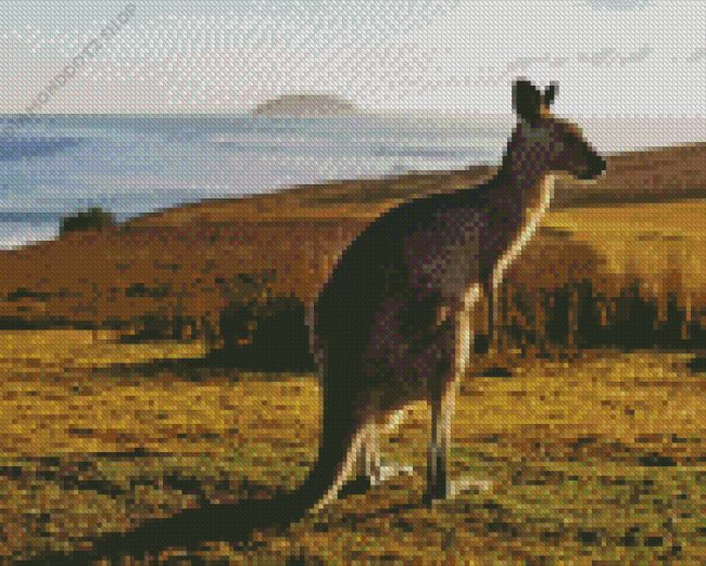 Eastern Grey Kangaroo Diamond Painting
