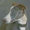 Grey Whippet Diamond Painting