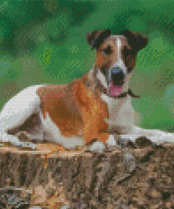 Fox Terrier Diamond Painting