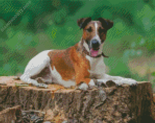 Fox Terrier Diamond Painting