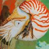 Nautilus Diamond Painting