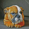 English Bulldog Diamond Painting