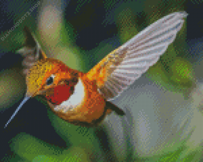 Rufous Hummingbird Diamond Painting