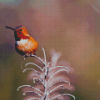 Rufous Hummingbird On Plant Diamond Painting