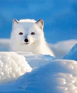 Snow Fox Diamond Painting