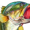 Bass Fish Art Diamond Painting