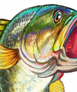 Bass Fish Art Diamond Painting