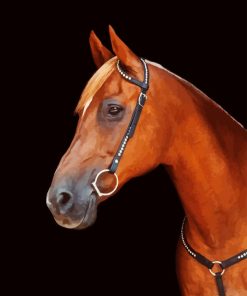 Horse With Bridle Diamond Painting