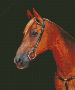 Horse With Bridle Diamond Painting