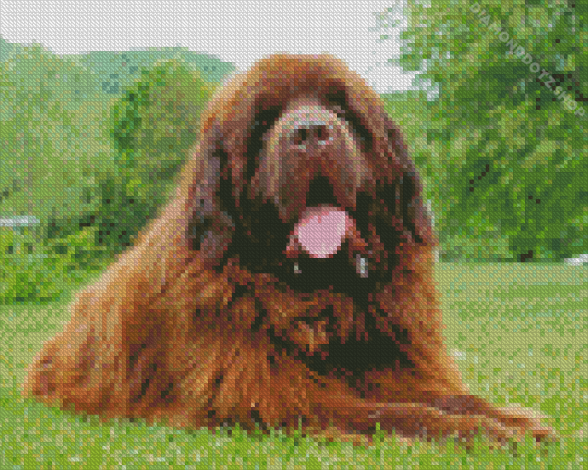 Newfie Dog Diamond Painting