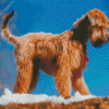 Golden Wheaten Terrier Diamond Painting
