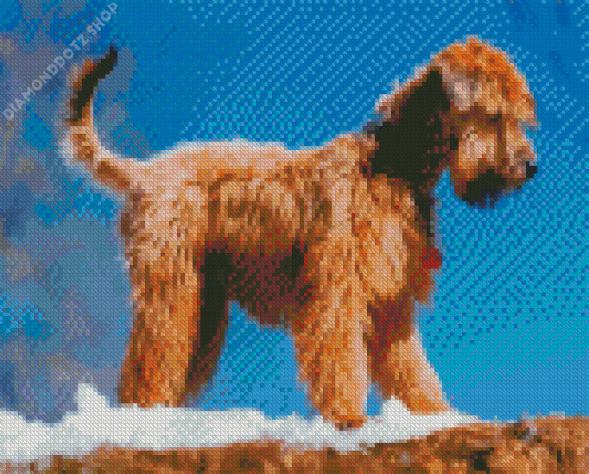 Golden Wheaten Terrier Diamond Painting