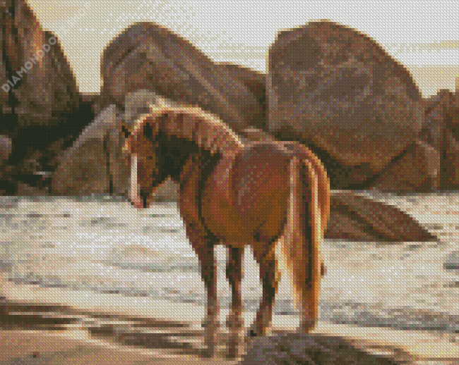 Horse Beach Diamond Painting
