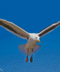 Seagull Flying Diamond Painting